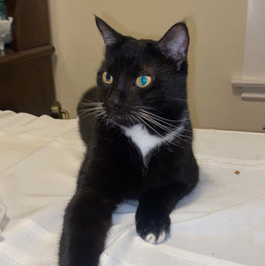 Meet your Posher, Adrianna